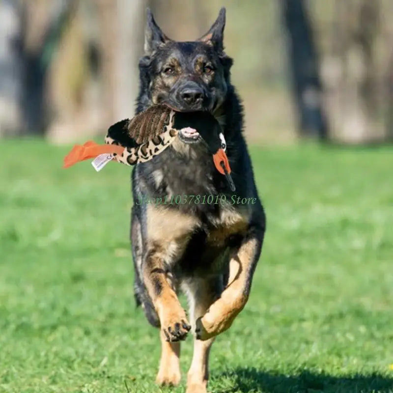 U55D Fun Pet Teases Multiple Accessories For Endlessly Dog Entertainment